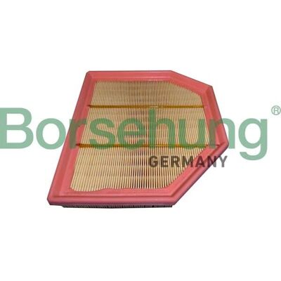 BORSEHUNG B12455 - Ilmansuodatin BORSEHUNG B12455 - Ilmansuodatin