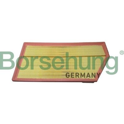 BORSEHUNG B12465 - Filtro de aire BORSEHUNG B12465 - Filtro de aire