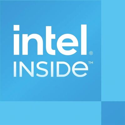Intel P300 Processor - 6MB Cache - 2 Core - 3.90GHz Intel P300 Processor - 6MB Cache - 2 Core - 3.90GHz