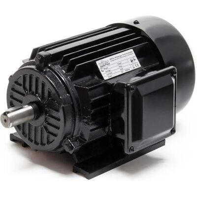 Motore elettrico Wiltec 2 poli 400V Motore elettrico Wiltec 2 poli 400V
