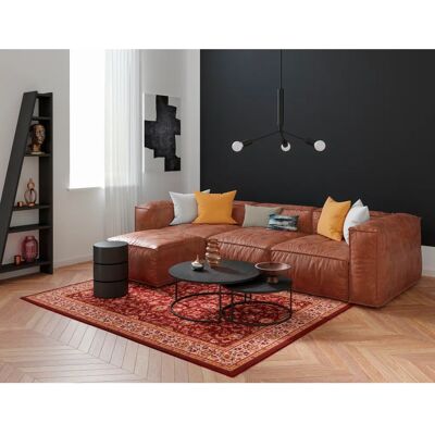 THEKO Dolna - 808 Teppich - 100% Schurwolle - Orientalisches Muster THEKO Dolna - 808 Teppich - 100% Schurwolle - Orientalisches Muster