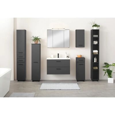 WELLTIME Trento Badschrank - 30x130x27cm - Grau Matt WELLTIME Trento Badschrank - 30x130x27cm - Grau Matt