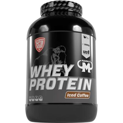 Mammut Molkenprotein - 3000g - Iced Coffee - Proteinpulver Mammut Molkenprotein - 3000g - Iced Coffee - Proteinpulver