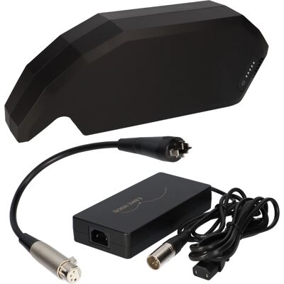 E-Bike Vision - PowerPack 36V 20Ah - 36V E-Bike Vision - PowerPack 36V 20Ah - 36V