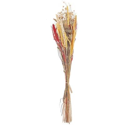 Beliani Getrocknete Blumen Naturstrauß - 65cm - Getrocknete Blumen Beliani Getrocknete Blumen Naturstrauß - 65cm - Getrocknete Blumen