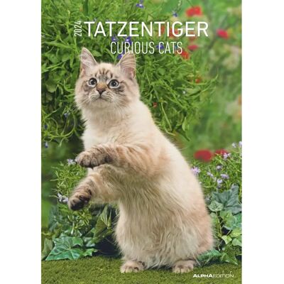Alpha Edition Kalender 2024 Wand Curious Cats FSC Papier Alpha Edition Kalender 2024 Wand Curious Cats FSC Papier