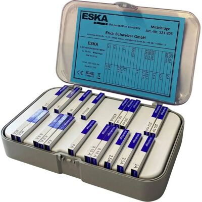 ESKA 521805 Sicherungssortiment - 200 Stück für Elektrischer Schutz ESKA 521805 Sicherungssortiment - 200 Stück für Elektrischer Schutz