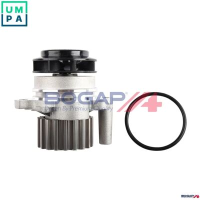 BOGAP A4234162 - Bomba de agua BOGAP A4234162 - Bomba de agua