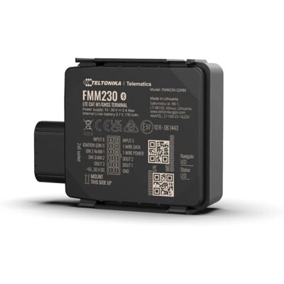 Teltonika FMM230 GPS Tracker - Wasserdicht, LTE M1, Fahrzeug Teltonika FMM230 GPS Tracker - Wasserdicht, LTE M1, Fahrzeug