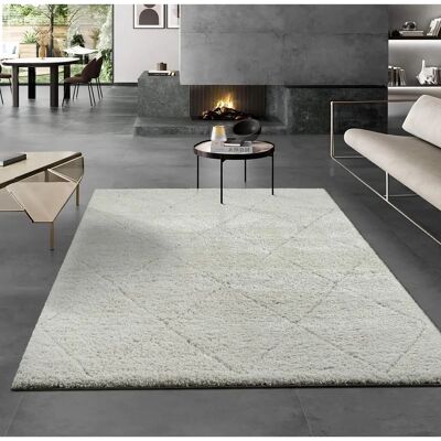 THE CARPET Bahar Shaggy - Polypropylen Teppich 200x290cm THE CARPET Bahar Shaggy - Polypropylen Teppich 200x290cm