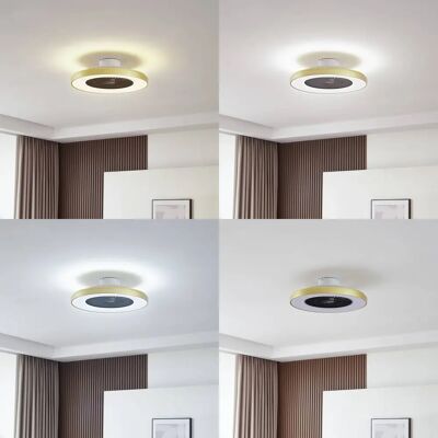 Lindby Teleo Ceiling Fan with Light - Dorado - Quiet, Modern Design Lindby Teleo Ceiling Fan with Light - Dorado - Quiet, Modern Design