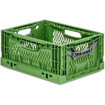 PROREGAL - Chameleon Profi - Grün - Folding Box PROREGAL - Chameleon Profi - Grün - Folding Box