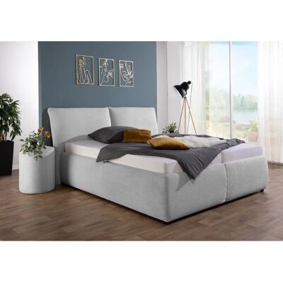 MAINTAL Wiesenblick Grau Polsterbett - Bett MAINTAL Wiesenblick Grau Polsterbett - Bett