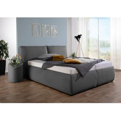 Polsterbett MAINTAL Wiesenbach - Bett Polsterbett MAINTAL Wiesenbach - Bett