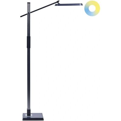 Lampada da terra regolabile grigia scura Beliani - Lampada LED Lampada da terra regolabile grigia scura Beliani - Lampada LED