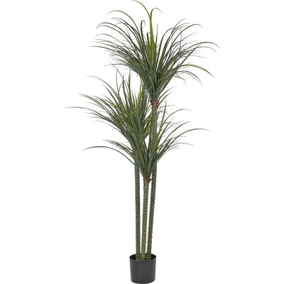 Beliani Keinotekoinen Dracaena - Vihreä, 198cm - Sisätiloihin Beliani Keinotekoinen Dracaena - Vihreä, 198cm - Sisätiloihin