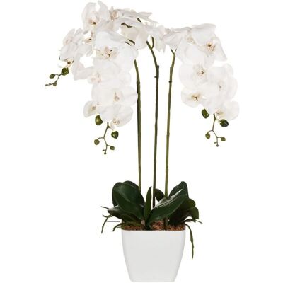 BELIANI Oncidium Orkidea keinotekoinen kasvi - Sisätilojen koriste BELIANI Oncidium Orkidea keinotekoinen kasvi - Sisätilojen koriste