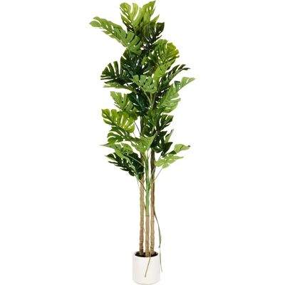 Beliani - Plante Monstera Artificielle 221cm - Décor Intérieur - Publicité Beliani - Plante Monstera Artificielle 221cm - Décor Intérieur - Publicité