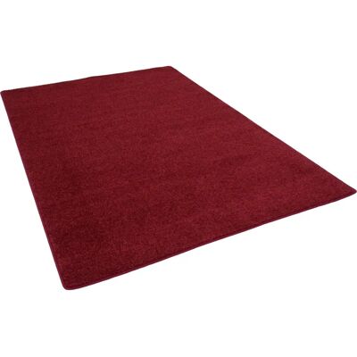 Snapstyle Mona Hochflor Velours 80 x 240 cm Tapis - Publicité Snapstyle Mona Hochflor Velours 80 x 240 cm Tapis - Publicité