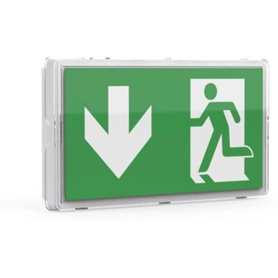 ENOVALITE 200104-8H - Luz de Emergencia LED - IP65 ENOVALITE 200104-8H - Luz de Emergencia LED - IP65