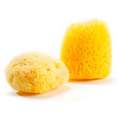Éponge de bain bébé GRÜNSPECHT NATURPRODUKTE G510-V1 Éponge de bain bébé GRÜNSPECHT NATURPRODUKTE G510-V1