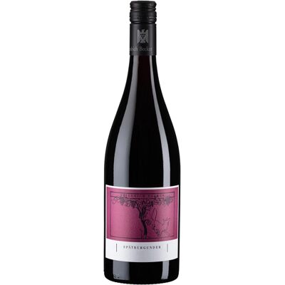 Friedrich Becker 2019 Spätburgunder - Deutscher Rotwein Friedrich Becker 2019 Spätburgunder - Deutscher Rotwein