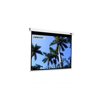 Celexon Professional 300x300cm Elektrische Projektionswand - Weiß Celexon Professional 300x300cm Elektrische Projektionswand - Weiß