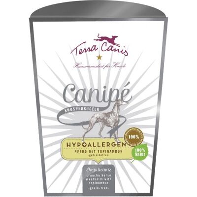 Terra Canis Modèle Hyperallergène Cheval - Nourriture pour chiens 200 g - Publicité Terra Canis Modèle Hyperallergène Cheval - Nourriture pour chiens 200 g - Publicité