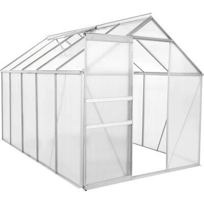 Zelsius - Aluminium Gewächshaus - 310 x 190 cm - Greenhouse Zelsius - Aluminium Gewächshaus - 310 x 190 cm - Greenhouse