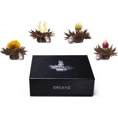 Coffret Cadeau de Fleurs de Thé Blanc et Noir Creano - Boules de Thé en Boîte Magnétique - Publicité Coffret Cadeau de Fleurs de Thé Blanc et Noir Creano - Boules de Thé en Boîte Magnétique - Publicité