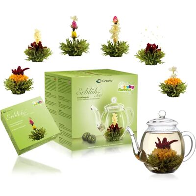 Marque Creano Modèle - Sélection de Thés en Fleurs & Théière - Publicité Marque Creano Modèle - Sélection de Thés en Fleurs & Théière - Publicité