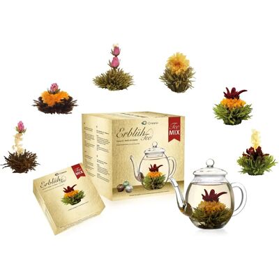 Ensemble de Thés en Fleurs Creano avec Théière en Verre - Divers Types - Publicité Ensemble de Thés en Fleurs Creano avec Théière en Verre - Divers Types - Publicité