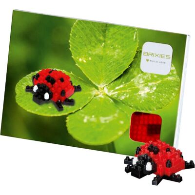 BRIXIES 220.019 Baukasten - Coccinella 49 St. BRIXIES 220.019 Baukasten - Coccinella 49 St.