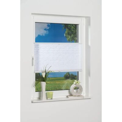 K-HOME Capri Plissees - Blumenmuster, 130cm K-HOME Capri Plissees - Blumenmuster, 130cm