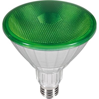 Ampoule LED Segula 50763 - Vert - 18 W - E27 - Publicité Ampoule LED Segula 50763 - Vert - 18 W - E27 - Publicité