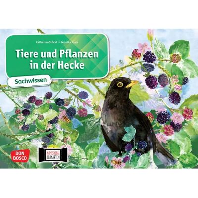 Katharina Stöckl-Bauer - Tiere und Pflanzen in der Hecke - Bildkartenset Katharina Stöckl-Bauer - Tiere und Pflanzen in der Hecke - Bildkartenset