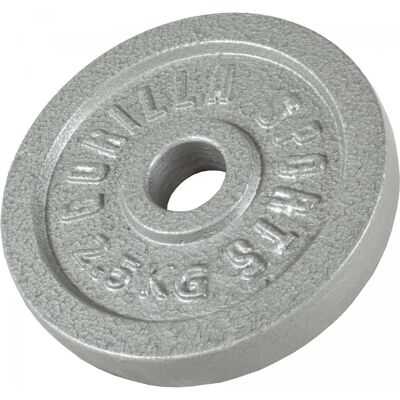 Gorilla Sports Gjutjärnsviktplatta - Silver Gray - 0,5-30kg Gorilla Sports Gjutjärnsviktplatta - Silver Gray - 0,5-30kg