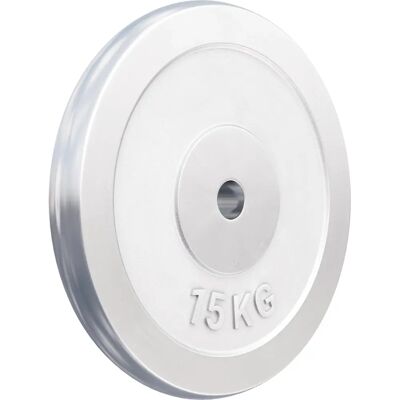 Gorilla Sports Kromad Gjutjärns Vägtskiva - 0,5-30kg Gorilla Sports Kromad Gjutjärns Vägtskiva - 0,5-30kg