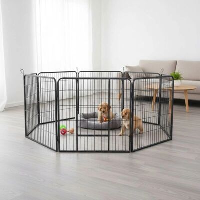 MELKO - Cucciolo correre - 8x80x80 - Puppy Run MELKO - Cucciolo correre - 8x80x80 - Puppy Run