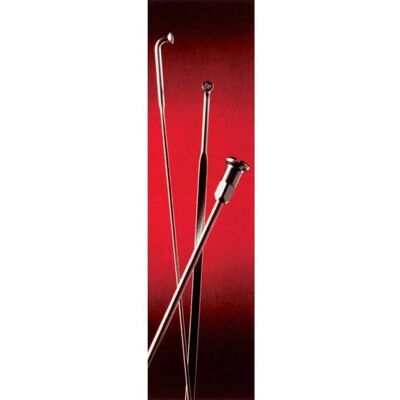 Aste per Bicicletta BUCHEL Zinc - 12mm 100 Pezzi Aste per Bicicletta BUCHEL Zinc - 12mm 100 Pezzi
