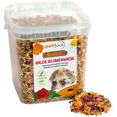 Petifool Wilde Bloemenweide - Natuurlijk & Gezond Voedsel voor Konijnen - 600 G - Voedingssupplementen Petifool Wilde Bloemenweide - Natuurlijk & Gezond Voedsel voor Konijnen - 600 G - Voedingssupplementen