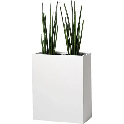 kaiserKraft Recipiente para plantas - 2 plantas, decoração de bordo kaiserKraft Recipiente para plantas - 2 plantas, decoração de bordo