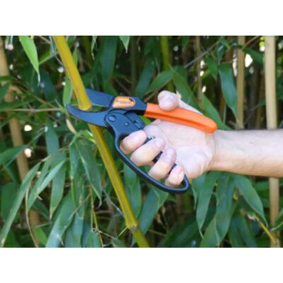Primus Modèle 01011 Lame de rechange pour sécateur de jardin - lame de rechange pour sécateur - Publicité Primus Modèle 01011 Lame de rechange pour sécateur de jardin - lame de rechange pour sécateur - Publicité