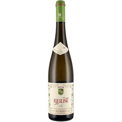 Dr. Fischer Mosel Riesling Secco 2023 - Vino Dr. Fischer Mosel Riesling Secco 2023 - Vino