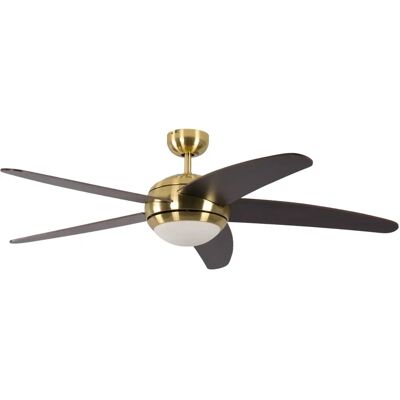 Pepeo Ceiling Fan Melton Brass Wenge Light - Ceiling Fan Pepeo Ceiling Fan Melton Brass Wenge Light - Ceiling Fan