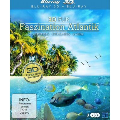 KSM GmbH K3238 - Unterwasser Atlantik Dokumentation Blu-ray - Full HD - 3D KSM GmbH K3238 - Unterwasser Atlantik Dokumentation Blu-ray - Full HD - 3D