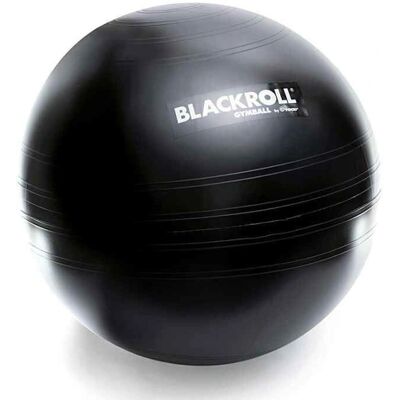 Palla da Esercizio Blackroll 65cm - Versatile e Resistente Palla da Esercizio Blackroll 65cm - Versatile e Resistente