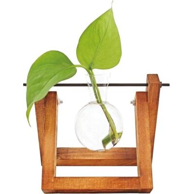 Winkee Hydro Vasen - Blumen- und Pflanzenvase Winkee Hydro Vasen - Blumen- und Pflanzenvase