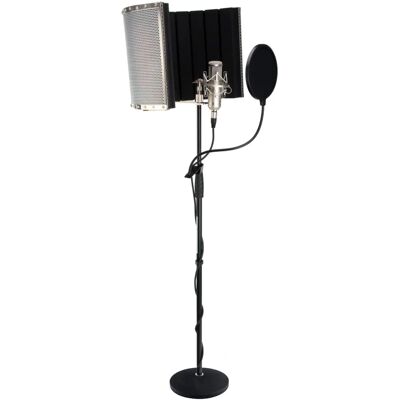 Pronomic - Micophone A Condensateur - Argent - Microphone - Publicité Pronomic - Micophone A Condensateur - Argent - Microphone - Publicité