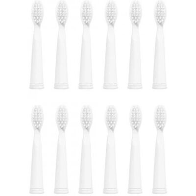 Ailoria 50349397 Zahnpflegekopf - Weiß Ailoria 50349397 Zahnpflegekopf - Weiß